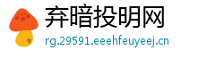 弃暗投明网